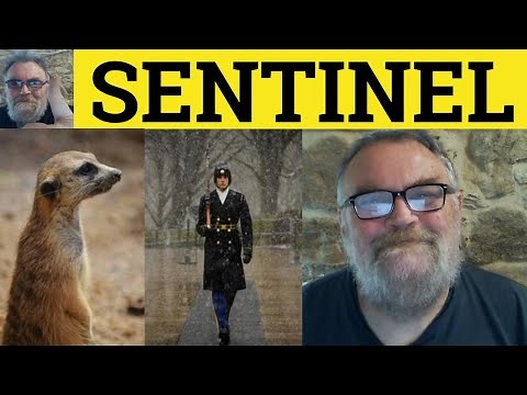 🔵 Sentinel Meaning - Sentinel Examples - Sentinel Definition - Literary English - Literary English