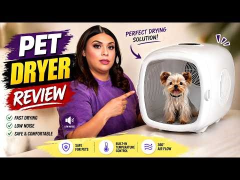 This Pet Dryer Box Is So Quiet… My Dog Didn’t Freak Out 😳🐶
