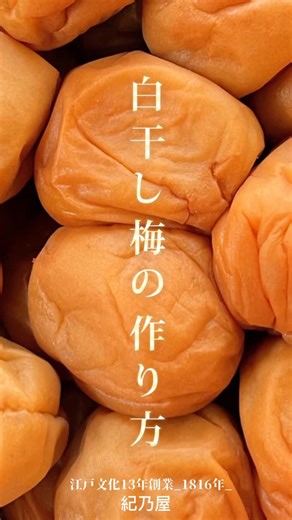 株式会社紀乃屋｜江戸文化13年（1816年）創業 on Instagram: "𓊈 株式会社 紀乃屋𓊉 #白干し梅の作り方 【材料】 ・完熟梅（紀州南高梅） 1kg ・塩 500g（又は梅酢1000ml） ・梅酢大さじ2 冷凍した梅を使うと早くできあがるよ♡ ※冷凍保存方！ 綺麗に洗って、ヘタを取り 針で穴を開けて水分をしっかりと拭き取ったら、ジップロックに空気を抜いて入れておく。 #株式会社紀乃屋#紀州南高梅#南高梅 #紀乃屋 #梅#梅干し#生梅#梅酢 #和歌山県#梅レシピ#簡単レシピ#梅仕事#梅保存法#梅#夏バテ対策 ______________________________ ✍🏻 ◾︎株式会社紀乃屋 ◾︎ Web🛒🛍>>>> プロフィール欄より https://shop.kinoya.jp/ ◾︎住所 〒645-0014 和歌山県日高郡みなべ町西岩代1606-7 ◾︎電話番号 0739-34-2320 ◾︎FAX番号 0739-34-2321 ◾︎メールアドレス info@kinoya.info ◾︎営業時間 9:00～17:00"