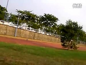 BLADE mCP X 自旋翻