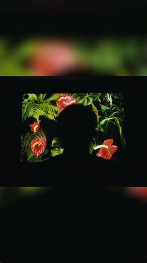 Ancient Memories: The Olympus OM-1 Camera's Enduring Call #analogphotography #film #filmphotography