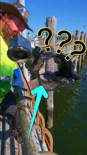 A mariners perfect catch! #magnetfishing #treasurehunt #magnetfishingfinds