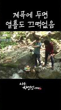 계곡에 두면 열흘도 끄떡없음 #shorts