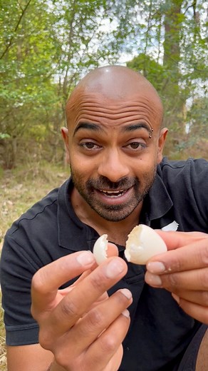 Support the Conservation of rare Black Cockatoos ❤️🖤🐣👉 Meet the Cockatoos on the 28th of October. 👉 Caring for Australia’s rarest Black Cockatoos 🫶👉 Creating an insurance population for Australia 👉 EXTINCTION date 2043 🥺😢💔🗓️ Book via website ➡️ Black Cockatoo Conservation Exp.📍Visit the Birds and support conservation Western Sydney for now, eventually Bargo. www.FeatheredFriends.com.au | Feathered Friends