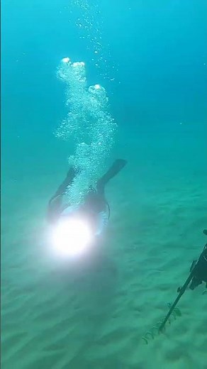mermaid girls stand at the bottom of the ocean with no fins, no mask, and no weight belt. it's very