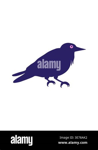 attention grabbing animation of crow cartoon Stock Video Footage - Alamy