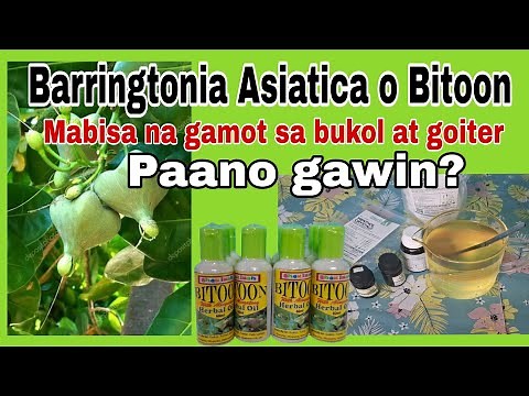 Paano ko ginawa ang aking Bitoon herbal oil na mabisa sa mga bukol at goiter.