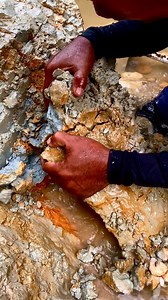 the process of finding $1500 worth of gold by digging the ground ‼️😱😱 #goldprospecting#goldhunter#golddiscovery#goldpanning#goldhunting#lookingforgold#golddrush#goldnugget#goldadventure | Uswandi Golddigging