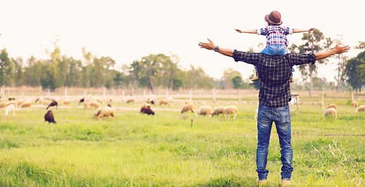 Soybean Processing - CGB Enterprises, Inc.