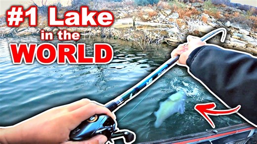 Fishermen from around the world flock to catch these fish