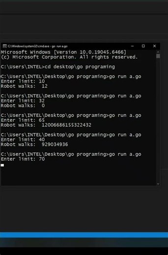 go | Euler project 'robot walks' | CodeLearning