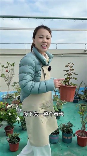 Ultimate Care Guide for Spring Roses - Grow Your Own! Spring Gardening FlowerTips