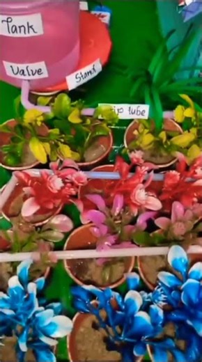 Science project drip irrigation model..🌱🌱🌾🌾🌾🌄🌄💚💚💚