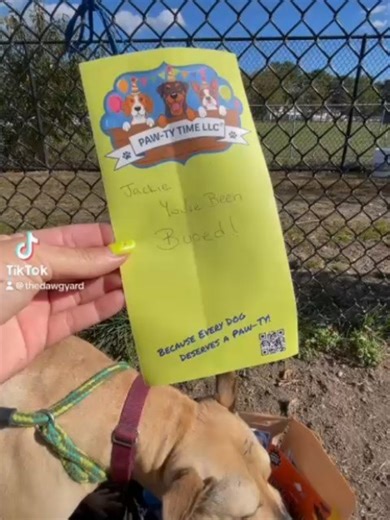 Babylon Animal Shelter on Reels