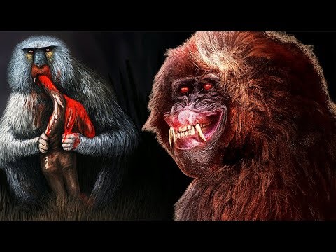 Extinct Animals the First Humans Saw – Documentary