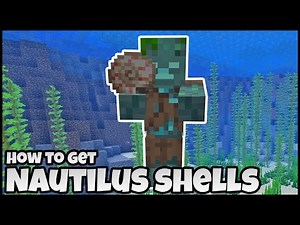 How To Get NAUTILUS SHELLS In MINECRAFT