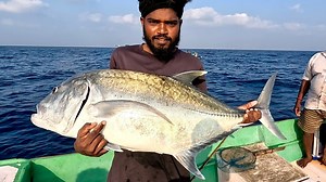 Giant Trevally Fish Caught Using Live Indian Mackerel Fish | Neerulagam