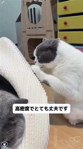 家具としても使える、おしゃれな猫用ベッド。#猫用品 #猫ベッド #猫のいる暮らし #猫好きさんと繋がりたい #ねこ部 インテリア ペット用品 猫グッズ