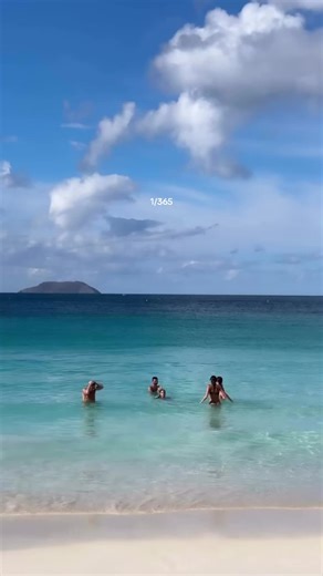 2026 loading... 🐠✨