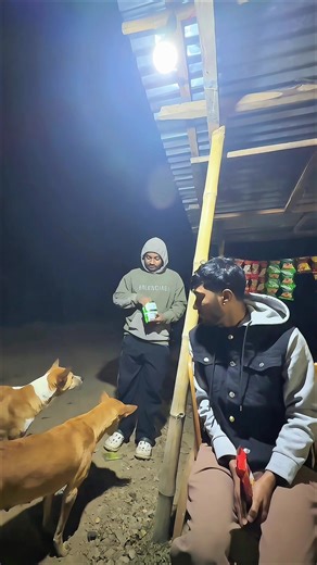 Dog feeding video. Funny vidoe