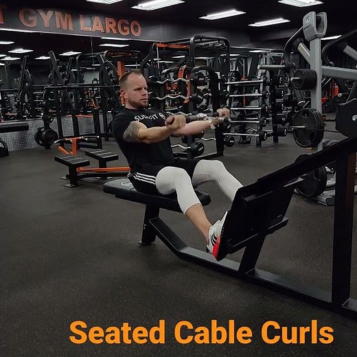 Seated Cable Curls