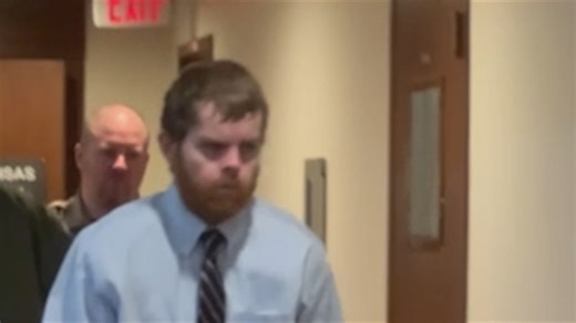 Andrew McGann back in court