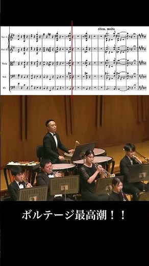 Tchaikovsky / Symphony No. 5 - 4th mov.