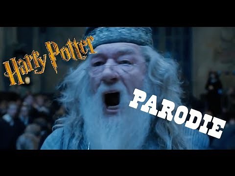 HARRY POTTER Parodie / Dumbledore est en colère