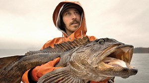 How Large Pot Traps Help American Fishermen Harvest Millions of Cod and Crabs