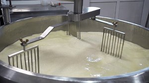 Traditional cheese making in modern technologies. Production of whey, curd, sourdough. Process of cheese-making from natural milk