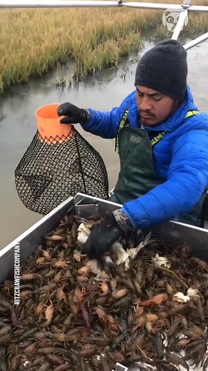 98K views · 63 reactions | Would you do this job? | Science, Tech and Universe | Facebook