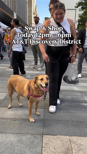 SWAP & SHOP Presented by @swap_con is back TODAY @attdiscoverydistrict 12pm-6pm FREE TICKETS🎟️ LINK IN BIO ❤️ COME ONE COME ALL🎉 🚨FREE ADMISSION SHOW‼️Sponsored by DALLAS TOURISM PUBLIC IMPROVEMENT DISTRICT & @theexchangehall Powered by @popupmarketdtx 🎉 Buy-Sell-SWAP®️ w/ the BEST 75 Vendors in the DFW METROPLEX w/ vendor indoors & outdoors 🤩 WHEN: 🗓️ November 15th, 2025 ⏰12pm-6pm cst WHERE: 📍208 S Akard St. WHAT: 🚨FREE 🎟️ ADMISSION BUY-SELL-SWAP®️ Indoor/Outdoor Celebration 🎉 FREE PA