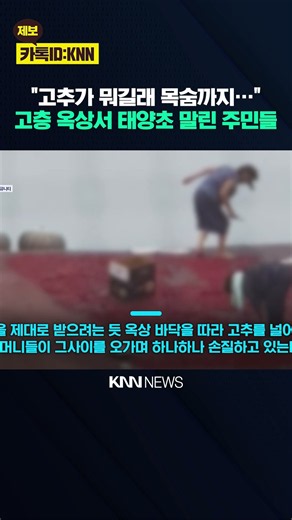 "Drying chili peppers on the 20th floor?" A 'dizzying' scene on an apartment rooftop / KNN