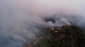 An aerial view of an active forest fire with bright flames lighting up the night sky. Firefighting vehicles are visible on a dirt road, the ongoing to control the blaze in the terrain.