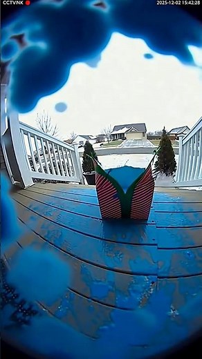 Porch Pirate Package Thief Instant Karma Explosion 😉 Christmas Edition.