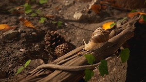 Une première bande-annonce pour Les Fourmis de Werber et Microids