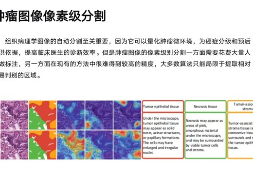 TPRO Text-Prompting Based Weakly Supervised Histopathology Tissue Segmentation