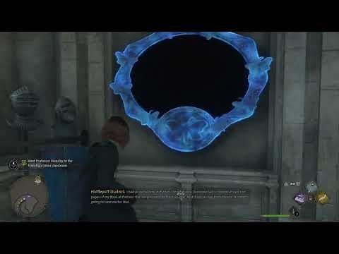 How to Solve the Moth Frames in Hogwarts Legacy Quick Tutorial Field Guide