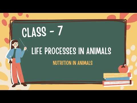 Nutrition in Animals | Class 7 Science Chapter 2 | CBSE NCERT | Full Explanation #science