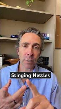 Stinging nettles