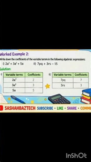 Identify Variable, Terms, and Coefficients | Algebra Basics