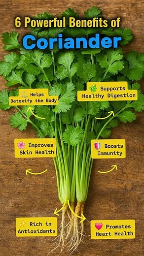 6 Powerful Benefits of Coriander