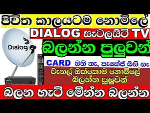 නොමිලේ Dialog tv බලන හැටි මේන්න බලන්න / Watch Free TV on Dialog 2024 Sinhala / free data