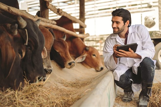 How STEM powers modern agriculture