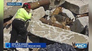 16K views · 451 reactions | "There's an ease in working with a partner like Ty." | American Kennel Club | Facebook