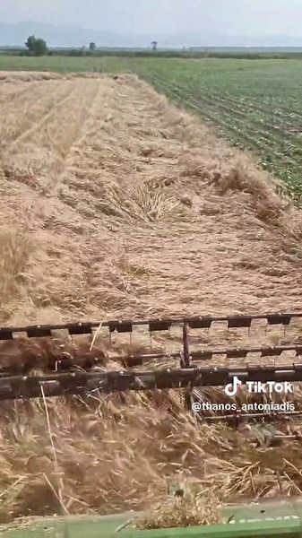 #greekfarmers #fyp #wheat #greektiktok #farmer #iride #newholland #newhollandcx