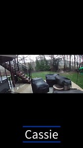 Sunday's storms captured on video from around West Michigan: https://www.woodtv.com/weather/weather-news/photos-damage-after-strong-winds-possible-tornado-in-w-mi/ | WOOD TV8