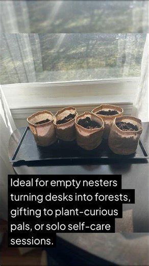 Start a new Hobby with AVERGO Bonsai Tree Kit for Beginners!