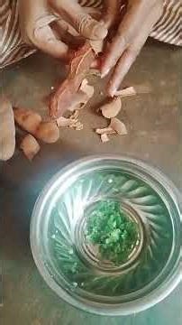 Mini Vlog | Tamarind Tasty Homemade 🤤 | #shorts