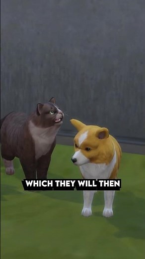 The Most Fun Pet Traits In The Sims 4